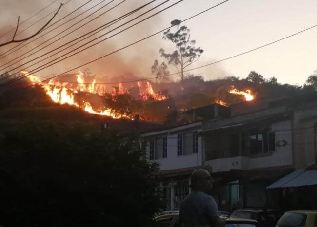  Video: Controlan incendio en el cerro La Cantera de Piedecuesta