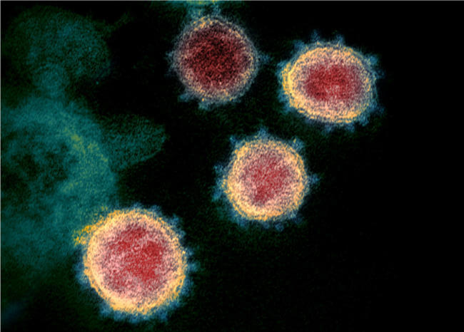  ¡No coma cuento! Mitos y creencias sobre el coronavirus
