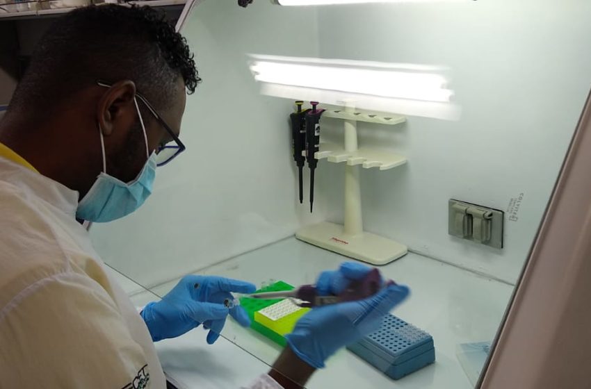  Estrenan el laboratorio de la UdeA evaluando pruebas COVID-19 de la Plaza Minorista